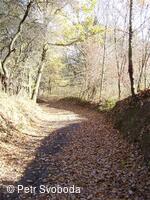 Víceúčelový lázeňský okruh Teplice nad Bečvou