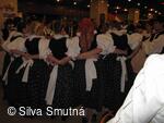 Muzejní spolek Velkobítešska