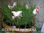 Velikonoce v Perníkové chaloupce 2005